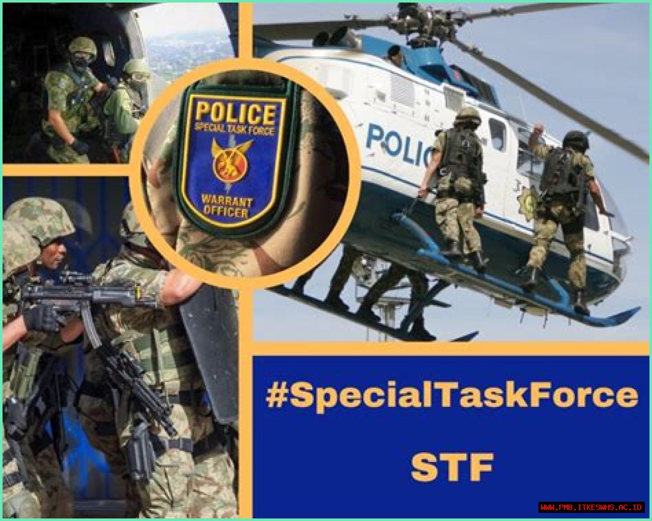 SAPS Special Task Force Explained