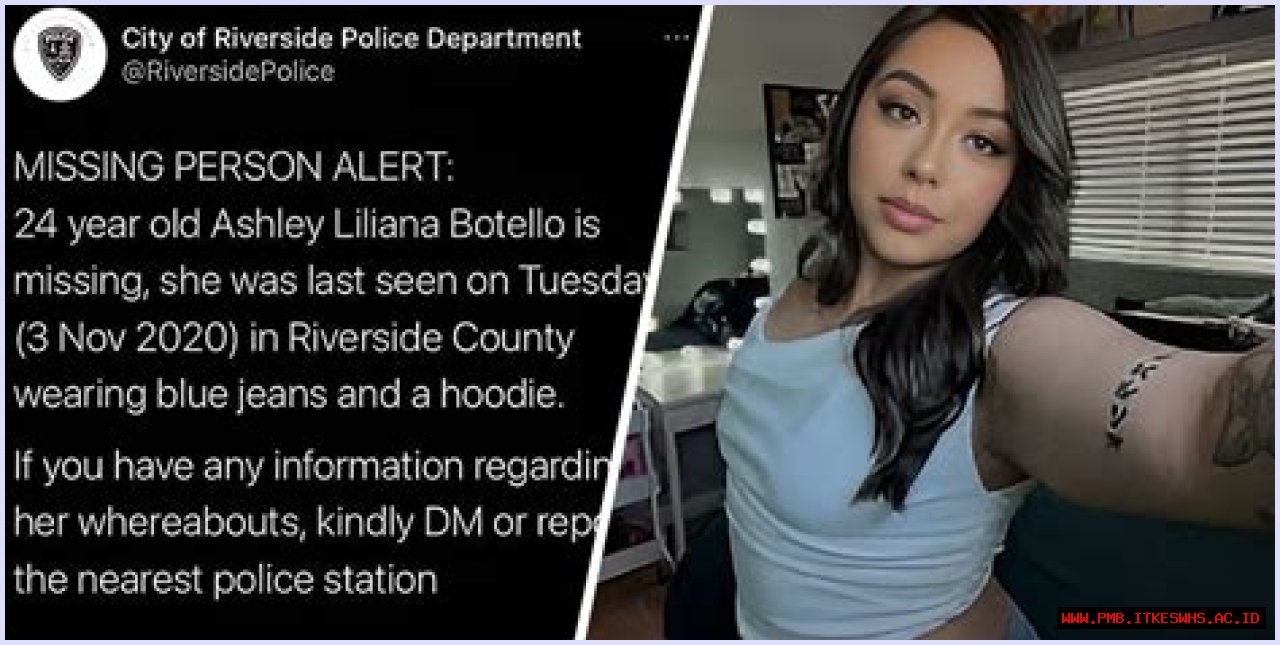 Unraveling The Mystery: The Case Of Ashley Liliana Botello Missing